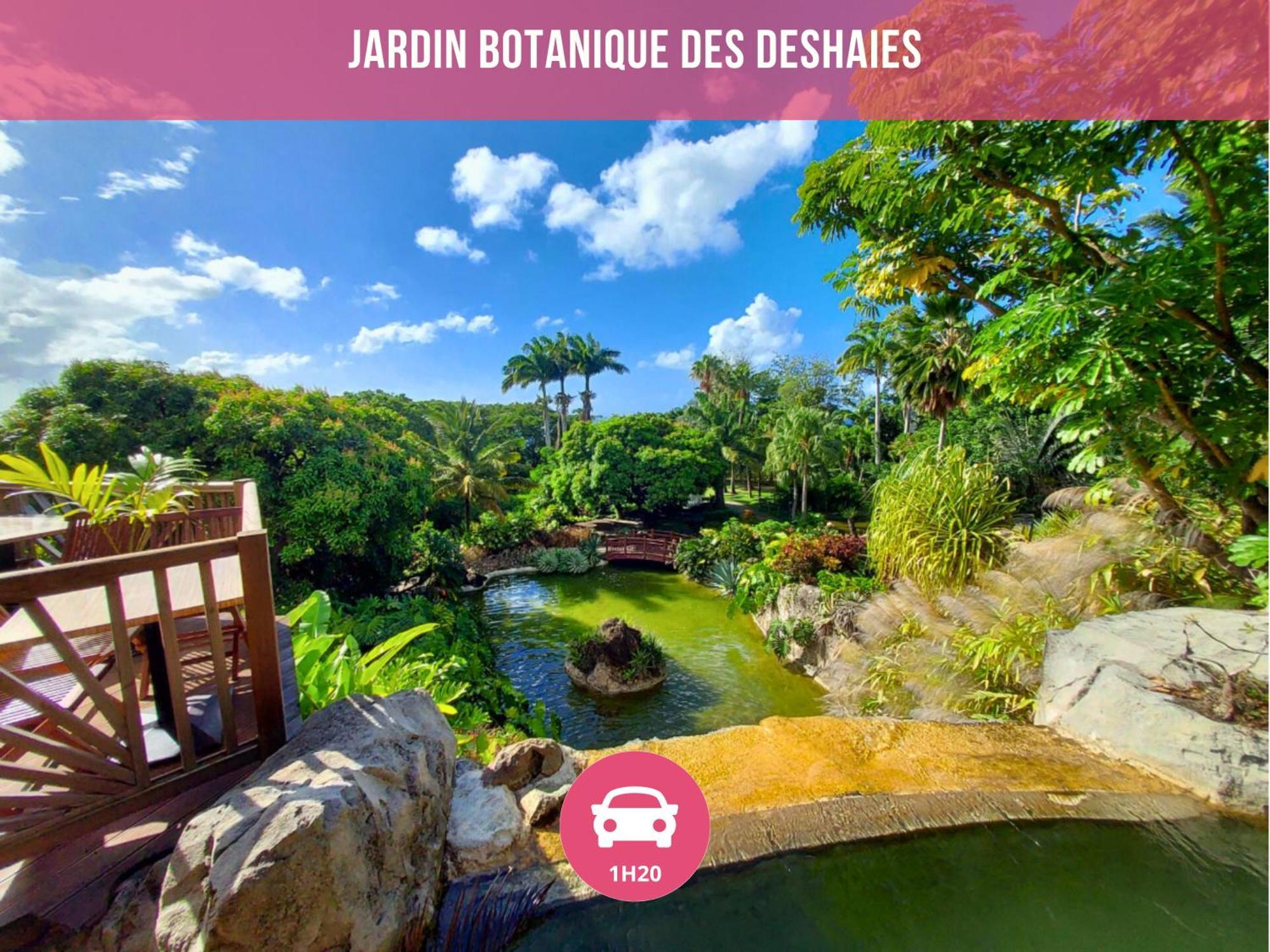 Le Sable Bleu - Evasion Tropicale A Sainte-Anne - Plage 5Min - Piscine - Parking - Logement Climatise - Vue Sur Les Palmiers - Parfait Pour Sejours En Famille Ou Entre Amis Buitenkant foto